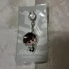 すのチルぶら下がりシリーズ（アクリルキーホルダーver.） 阿部亮平