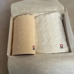 Item thumbnail for item 26b36f84-6a48-49f9-80ae-7cfe9eac992d