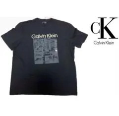 送料無料 新品 CALVIN KLEIN メンズ 半袖Tシャツ XL