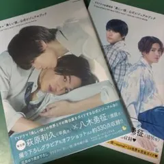 美しい彼公式ビジュアルブック2冊(TVドラマ+TVドラマ&劇場版)