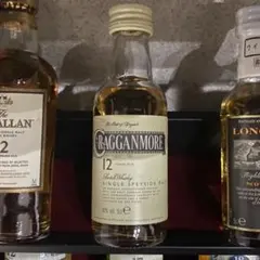 Item thumbnail for item fecb5198-1e6a-480d-8f79-8afc8f339385