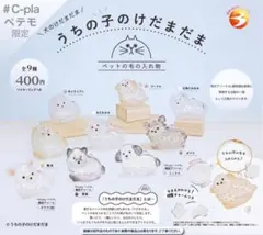 うちの子のけだまだま 限定アソート ミックス ガチャ ☆限定アソートチワワ（白）