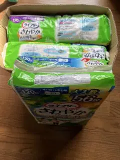 Item thumbnail for item 6a4f8341-3a6f-4224-92ba-19341b29c232