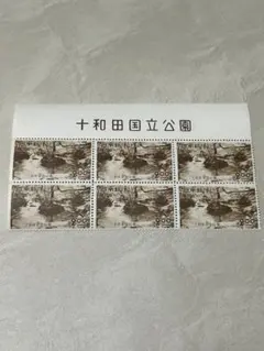 奥永源寺渓流の里 一万番突破特別記念きっぷ - メルカリ