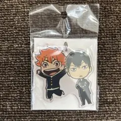 ハイスピード Free! 岩鳶中水泳部スペシャル複製原画色紙アルバム