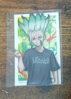 Dr.STONE SHIBUYA109 缶バッジ WALLMA 石神 千空 - メルカリ