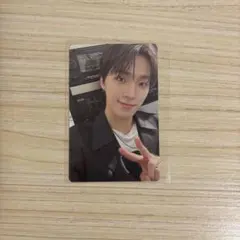 seventeen ディノトレカ