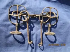 Item thumbnail for item 1c8bfa0f-9e3b-4a47-89df-5666a8fc6bd7