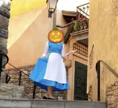 ベル　ウィッグ　リボンなし　町ベル　ディズニーハロウィン ベル ウィッグ リボンなし 町ベル ディズニーハロウィン