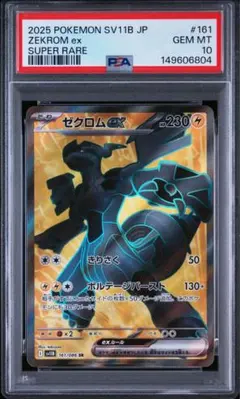 2026年最新】ゼクロムEX psa10の人気アイテム - メルカリ
