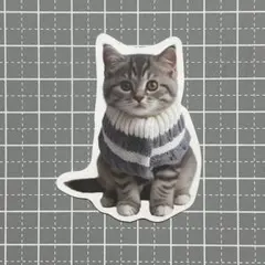 【B342】防水ステッカー 猫 ねこ おめかし ニット 子猫 アメショー