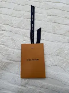 LOUIS VUITTON 封筒型ショップ袋