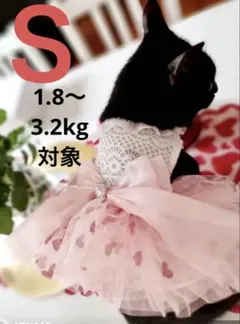 Item thumbnail for item f1499ac0-0f55-4ccf-b47a-5cb84865e135