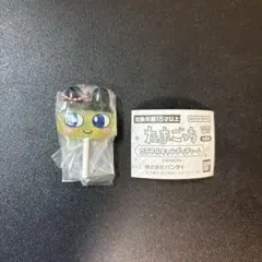 萌*様 たまごっち　カラフルキャンディチャーム　ガチャ　まめっち