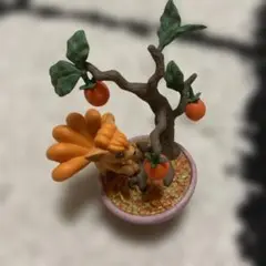 ぽけっとBONSAI3 移りゆく季節と共に　ロコン