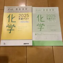 共通テスト化学演習　2025 ベネッセ共テパック　未使用