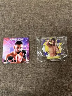 <限定>クレベルコイケ おまけステッカーシール&会場限定アクリルスタンドセット