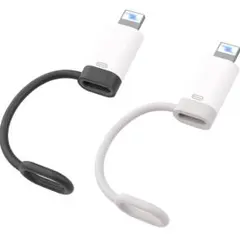 Type C ライトニング 変換アダプタ 2個セット 36W PD急速充電