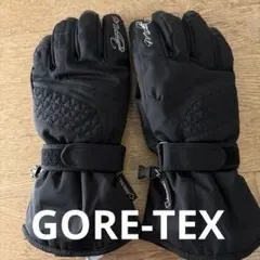 GORE-TEX MILLETスキーグローブ ブラック