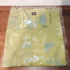 Item thumbnail for item 8518d1c8-9d4f-41bc-9e99-5b5e81705e35