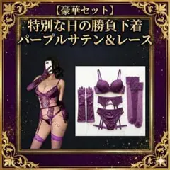 セクシーランジェリー Tバック ガーター グローブ ストッキング 紫のサムネイル