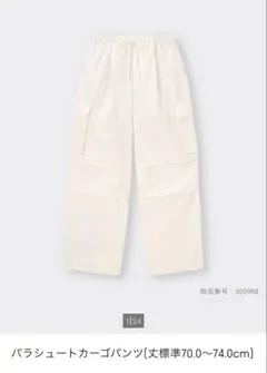 Item thumbnail for item f2356355-1bf9-4889-81c0-b5a53adcff51