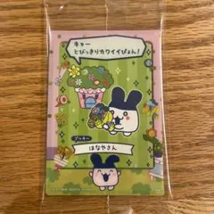 たまごっちのプチプチおみせっちしり〜ず カード みみっち