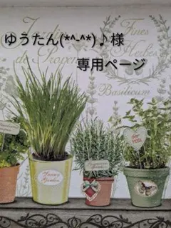 ゆうたん(*^-^*)♪様専用ページ あみぐるみ サボテン２set ♪