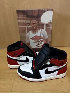 Air Jordan 1 Retro High OG つま黒