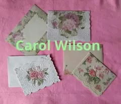 2026年最新】carol wilsonの人気アイテム - メルカリ