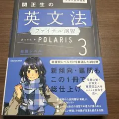 大学入試問題集 関正生の英文法ファイナル演習ポラリス[3 発展レベル]のサムネイル