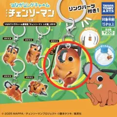 【ポチタ】チェンソーマン レゼ篇 つながリングチャーム