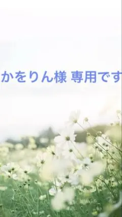 かをりん様 専用ページです