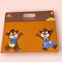 香港ディズニーランド 年パス 特典 チップとデール ピンバッジ - メルカリ