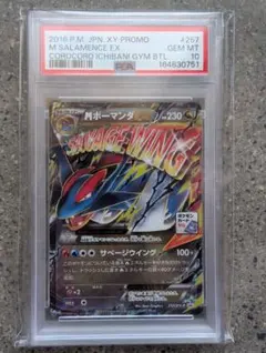 PSA10 ボーマンダex 2枚セット+オマケ - メルカリ