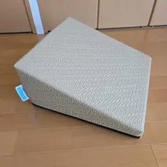 【美品・ほぼ新品】サンテプラス フレックスクッション ベージュ(本体のみ)