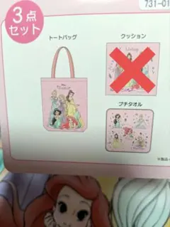 バースデイ　福袋　ハッピーバッグ　ディズニープリンセス　２点セット