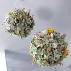 ドライフラワー　秋色紫陽花とミモザのフラワーボール　２個セット　フライングリース