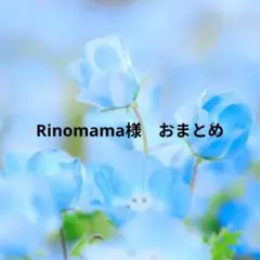 Rinomama様　おまとめ