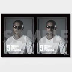 アルビレックス新潟　5 舞行龍ジェームズ　ステッカーラッフルくじ