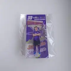 サンフレッチェ広島 応援グッズ