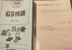 Sapix 6年GS特訓（ゴールデンウィーク特訓）理科・社会セット 全コース