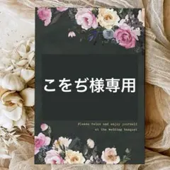 こをぢ様 リクエスト 2点 まとめ商品