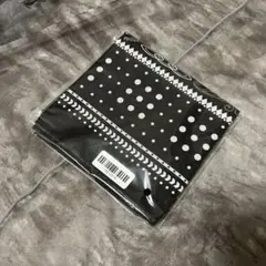 Item thumbnail for item a75505c4-311d-492d-b07f-eac3dedf7e63