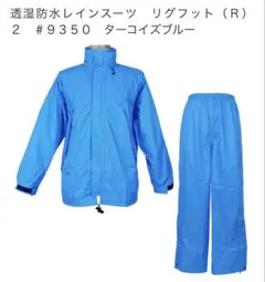 Item thumbnail for item 6d2de4e7-29ca-4db6-98a4-ea0ae795d516