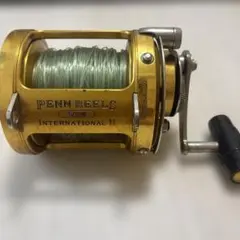 PENN インターナショナル 80STW 未使用保管品 カジキ マグロ - メルカリ