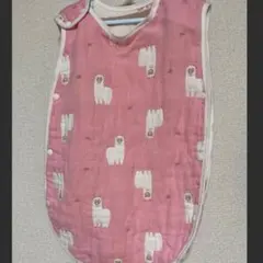 Item thumbnail for item 87d8b395-f23b-49b8-971a-2410d3db6dee