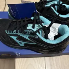 ミズノ　シューズ