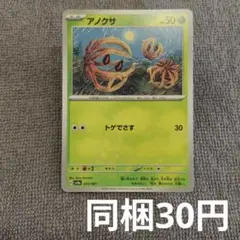 【在庫1】アノクサまとめ買いのサムネイル