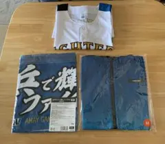 Item thumbnail for item 36417309-ed5f-42e7-8369-6b75bfd36de4